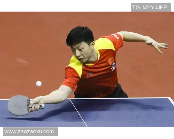 乒乓球的魅力与速度南京乒乓球队的训练与比赛全景揭秘