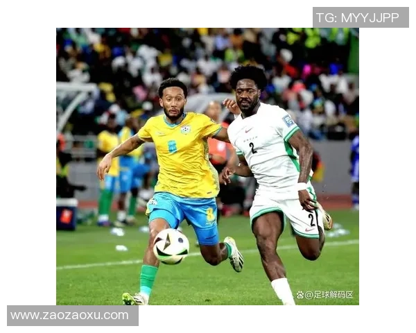 2010年荷兰足球明星的辉煌历程与世界杯征战回顾